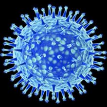 Coronavirus